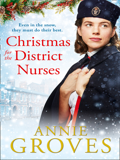 Title details for Christmas for the District Nurses by Annie Groves - Available